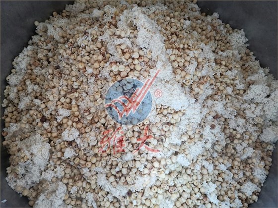 去皮莲子与大米饭混合均匀