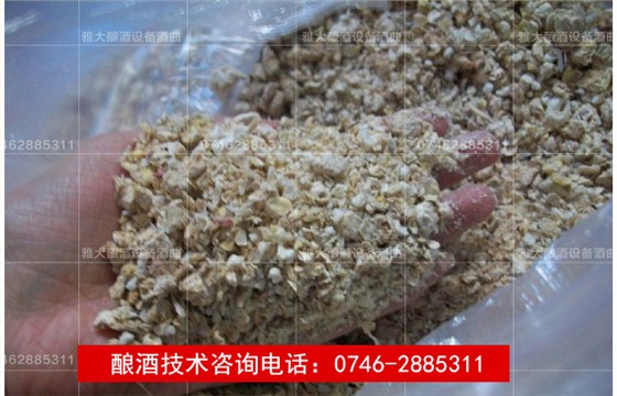 【雅大烧酒设备酿酒教学】玉米生料酿酒技术