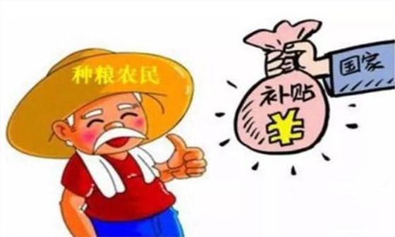 【白酒生产设备】主粮的保护价收购需贯彻