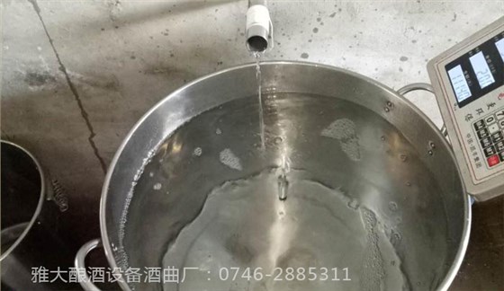 雅大白酒制作设备接酒图