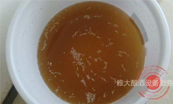 「蒸酒设备」大米生料发酵完成，酒醅成茶色