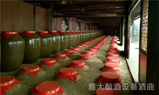 6.24不锈钢酿酒设备酿的白酒越老越值钱的秘密-地下酒窖