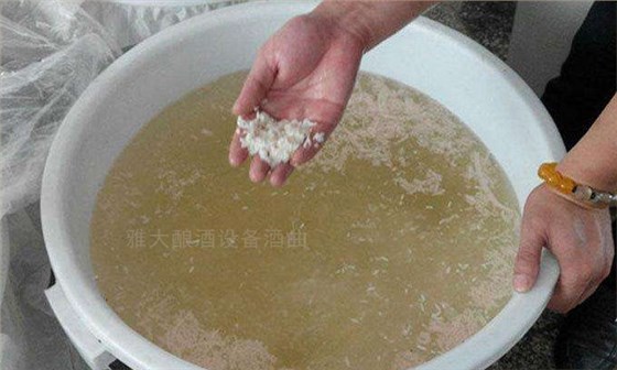 7.2-生料大米发酵