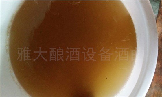 9.8酒厂酿酒设备生料酿酒方法-发酵完成