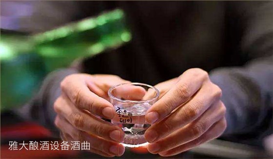 没一技之长学什么好创业用粮食酿酒设备做酒前景好吗？04