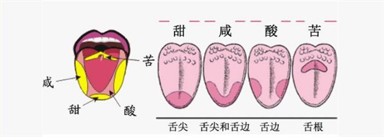 微信图片_201809181010022