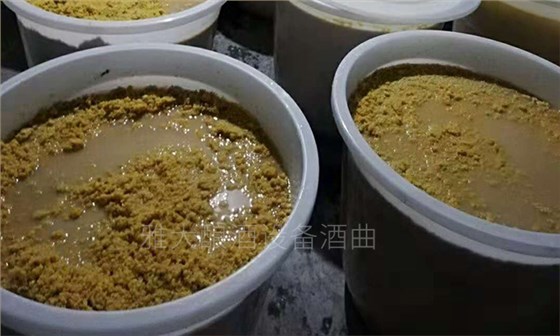 16-现代酿酒技术-生料发酵时先用开水烫一下