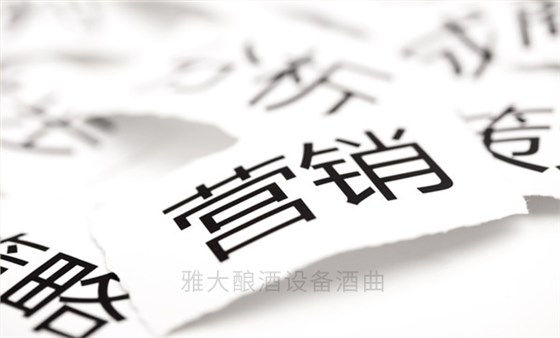 营销策略 营销策略