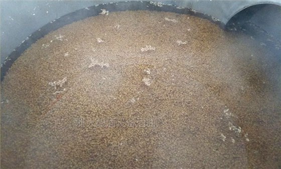 雅大邀您到酒厂用白酒蒸酒设备实操酿青稞酒,青稞酒实操教学!-02--泡粮 雅大邀您到酒厂用白酒蒸酒设备实操酿青稞酒,青稞酒实操教学!-02--泡粮