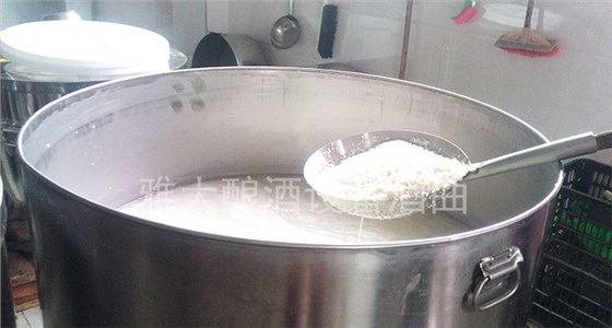 用小型酒厂设备制作的甜酒酿不甜怎么办?冬季做甜酒酿注意事项-03-浸米 用小型酒厂设备制作的甜酒酿不甜怎么办?冬季做甜酒酿注意事项-03-浸米