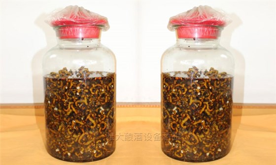 民间用小型白酒酿酒设备酿了40年的拐枣酿酒经验,步骤都告诉你!-06-拐枣泡酒 民间用小型白酒酿酒设备酿了40年的拐枣酿酒经验,步骤都告诉你!-06-拐枣泡酒