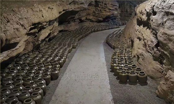 饶总用专业酿酒设备做洞藏酒,半年后洞天醇成为当地招牌旅游景点-10 饶总用专业酿酒设备做洞藏酒,半年后洞天醇成为当地招牌旅游景点-10