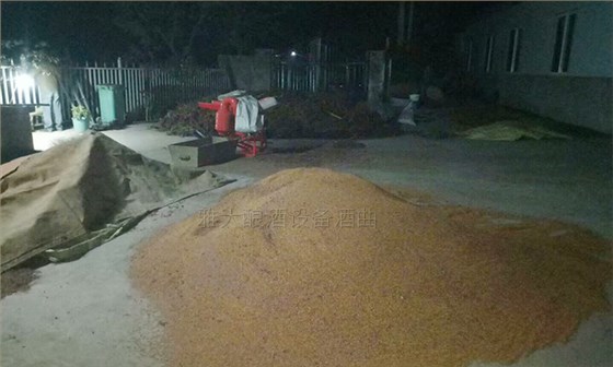 50岁高阿姨借助不锈钢酿酒设备,带领当地百姓发家致富-07 50岁高阿姨借助不锈钢酿酒设备,带领当地百姓发家致富-07