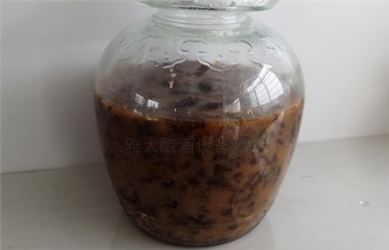 红枣酒怎么做？用小型酒厂酿酒设备制作红枣酒方法-04-红枣酒酿酒-发酵