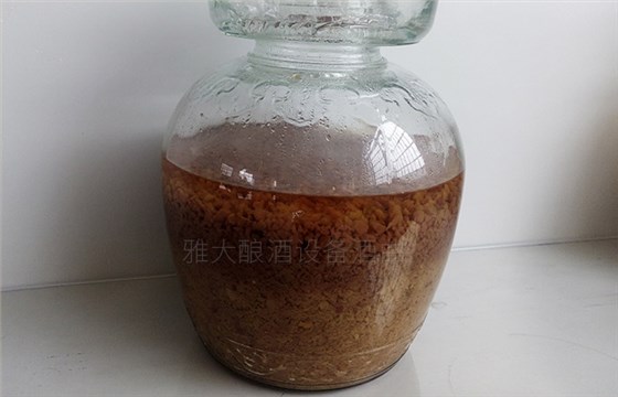 红枣酒怎么做？用小型酒厂酿酒设备制作红枣酒方法-05-红枣酒酿酒-发酵后期