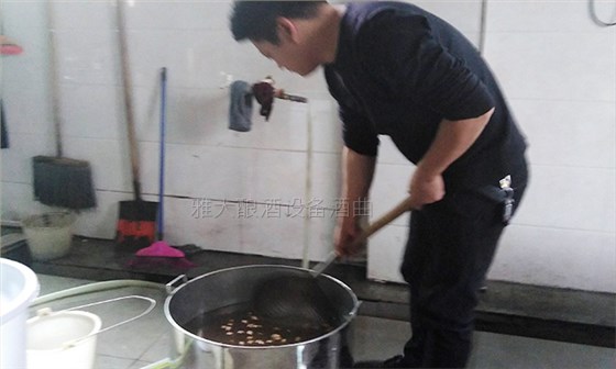 银杏果酒怎么做?20年酿酒经验的新工艺酿酒设备厂手把手教您做!-02 银杏果酒怎么做?20年酿酒经验的新工艺酿酒设备厂手把手教您做!-02