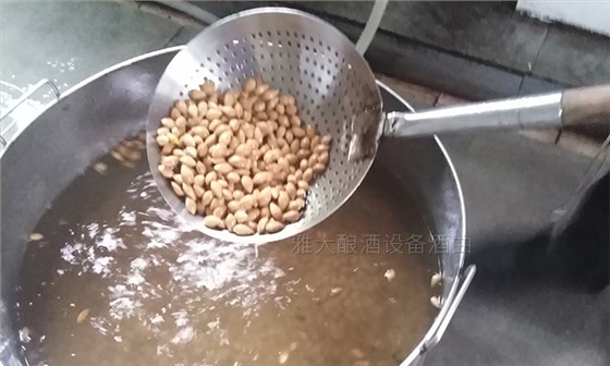 银杏果酒怎么做?20年酿酒经验的新工艺酿酒设备厂手把手教您做!-03 银杏果酒怎么做?20年酿酒经验的新工艺酿酒设备厂手把手教您做!-03