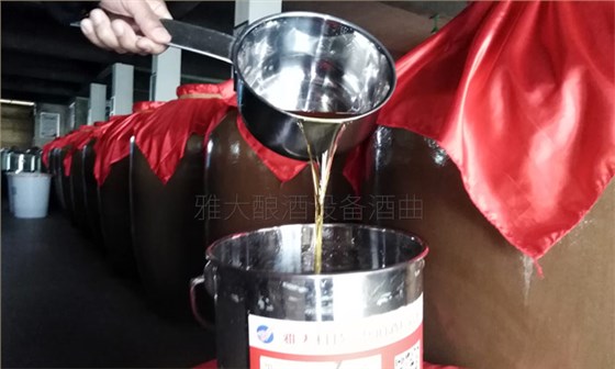 雅大全套酿酒设备终于圆了宁叔的田园酿酒梦!-06 雅大全套酿酒设备终于圆了宁叔的田园酿酒梦!-06