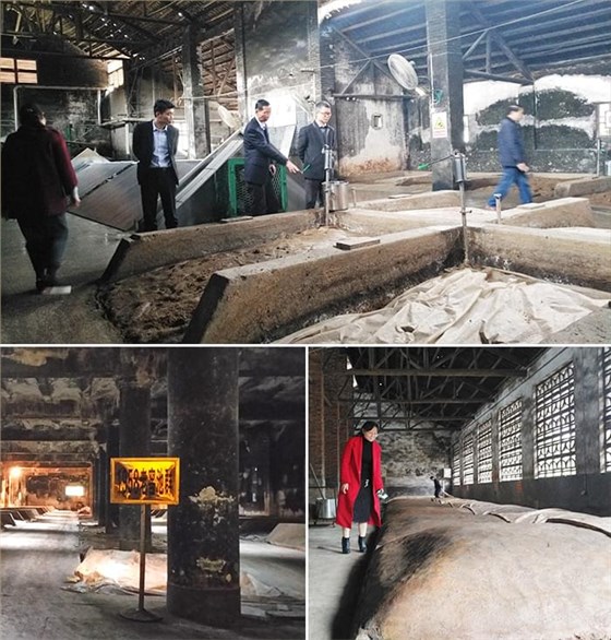 老窖池群发酵现场 老窖池群发酵现场