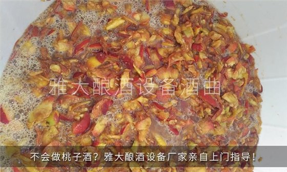 桃子酒发酵期间 桃子酒发酵期间