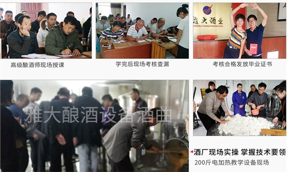 酿酒技术培训、现场实操 酿酒技术培训、现场实操