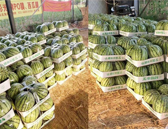 充分利用资源变废为宝 充分利用资源变废为宝