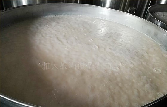 不锈钢全自动酿酒设备做大米酒发酵中