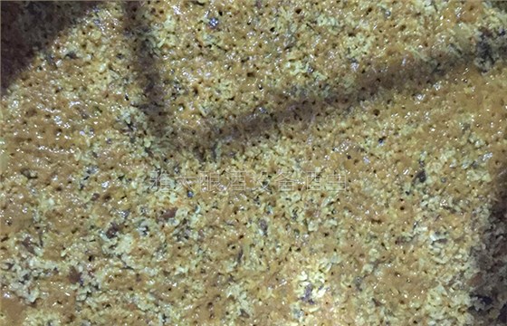 到第5天,能闻到浓浓的酒香味 到第5天,能闻到浓浓的酒香味