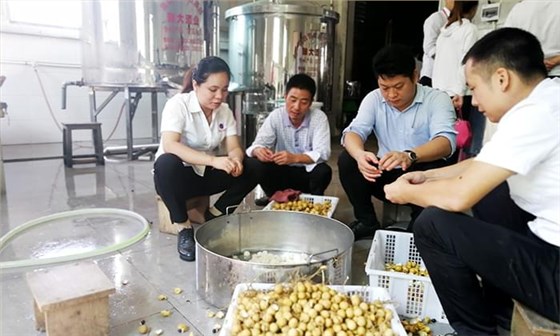 雅大技术团队在制作龙眼酒