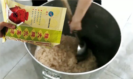 龙眼酿酒加雅大水果酒曲发酵 龙眼酿酒加雅大水果酒曲发酵