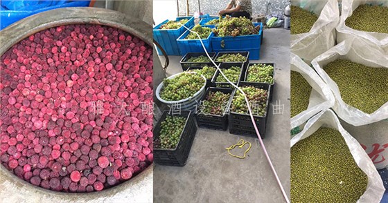 7.19-5套制酒设备,自己酿酒+上门加工相结合,生意火爆整个余姚- 7.19-5套制酒设备,自己酿酒+上门加工相结合,生意火爆整个余姚-