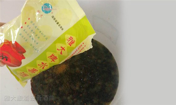 4-「酿酒教学报道」雅大酒厂酿酒设备葡萄酒实操课进行中3加入酒曲 4-「酿酒教学报道」雅大酒厂酿酒设备葡萄酒实操课进行中3加入酒曲