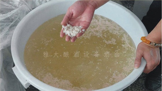 25-大米生料酿酒 25-大米生料酿酒