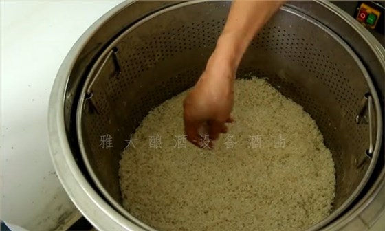 8.10-8步教您用小型酒厂酿酒设备酿造红薯酒,纯实操!3 8.10-8步教您用小型酒厂酿酒设备酿造红薯酒,纯实操!3
