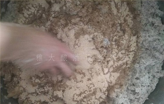 18.11-农村又一波野果朝我们奔来,赶紧用酿酒设备白酒将它们酿成酒吧!4 18.11-农村又一波野果朝我们奔来,赶紧用酿酒设备白酒将它们酿成酒吧!4