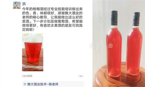 8.12用蒸酒设备做单一粮食酒的传统酒坊走向多元化经营后的蜕变！杨梅酒1