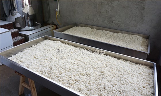 5-李树刚用粮食酿酒设备做酒,摊凉 5-李树刚用粮食酿酒设备做酒,摊凉