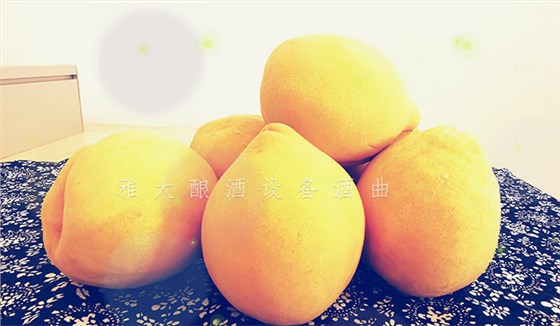 8.24-印江县黄桃滞销,冉总引进雅大电加热酿酒设备靠“酿”带动销量-9 8.24-印江县黄桃滞销,冉总引进雅大电加热酿酒设备靠“酿”带动销量-9