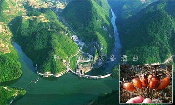8.25-兵哥哥用雅大制酒设备酿出湄江招牌旅游产品,月净赚3万8 8.25-兵哥哥用雅大制酒设备酿出湄江招牌旅游产品,月净赚3万8