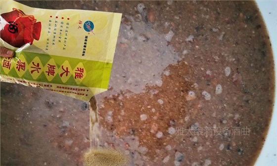 13-金樱子5 13-金樱子5