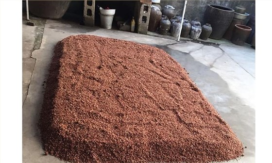 农村小型烧酒设备小作坊酿造高粱酒工艺流程-高粱糖化 农村小型烧酒设备小作坊酿造高粱酒工艺流程-高粱糖化