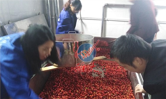 将海棠果清洗干净、沥干水份 将海棠果清洗干净、沥干水份