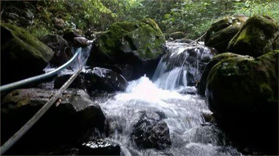 用白酒酿酒设备酿酒过程中加水属于造假吗? 5 用白酒酿酒设备酿酒过程中加水属于造假吗? 5