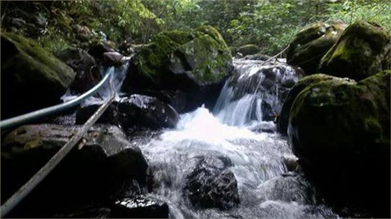 用白酒酿酒设备酿酒过程中加水属于造假吗？ 5