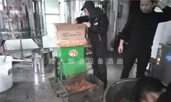 它酷似樱桃,90后用果酒酿酒设备将它酿酒,见过的不多 4 它酷似樱桃,90后用果酒酿酒设备将它酿酒,见过的不多 4