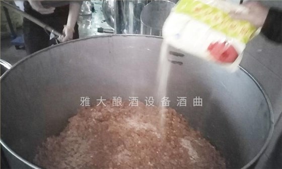 它酷似樱桃,90后用果酒酿酒设备将它酿酒,见过的不多 5 它酷似樱桃,90后用果酒酿酒设备将它酿酒,见过的不多 5