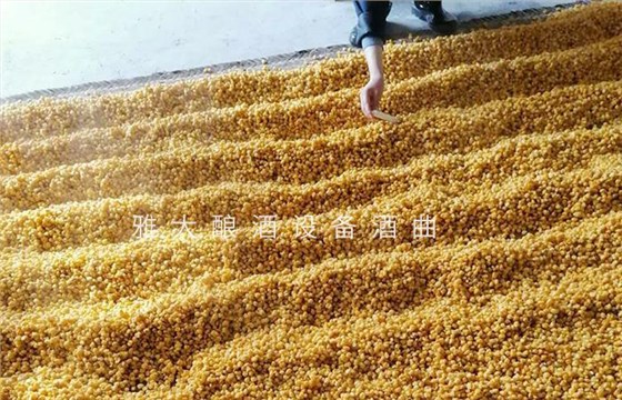 “蒸酒磨豆腐,不敢逞师傅” 用酿酒机器做酒40年的老师傅这样说 3 “蒸酒磨豆腐,不敢逞师傅” 用酿酒机器做酒40年的老师傅这样说 3