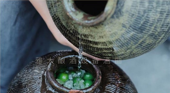 弄1套小型酿酒设备200型,回家用青梅煮酒(附青梅酿酒技术) 2 弄1套小型酿酒设备200型,回家用青梅煮酒(附青梅酿酒技术) 2