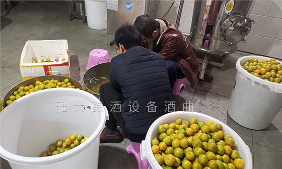 2020年做什么赚钱快?这些人都用果酒酿酒设备开了特色酒坊 8 2020年做什么赚钱快?这些人都用果酒酿酒设备开了特色酒坊 8
