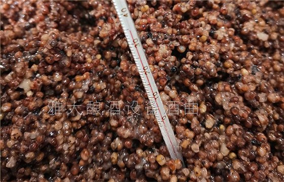 夏季用纯粮酿酒设备做酒一不小心就变酸了,怎么办? 3 夏季用纯粮酿酒设备做酒一不小心就变酸了,怎么办? 3